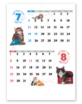 ＣＡＴ・ＣＡＴ・ＣＡＴ 5