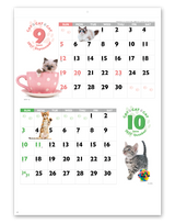 ＣＡＴ・ＣＡＴ・ＣＡＴ 6
