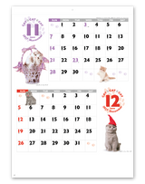 ＣＡＴ・ＣＡＴ・ＣＡＴ 7