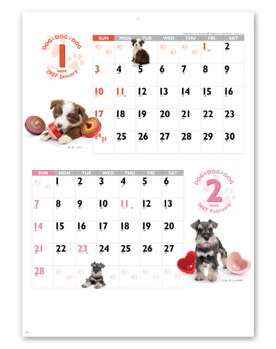 DOG・DOG・DOG 2
