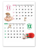 DOG・DOG・DOG 7