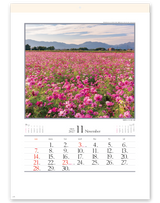 四季十二彩 12