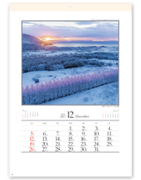 四季十二彩 13