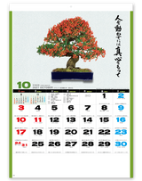 自然愛<盆栽> 11
