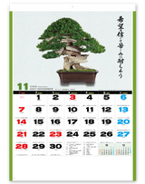 自然愛<盆栽> 12