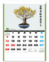 自然愛<盆栽> 4