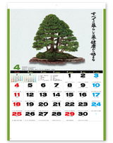 自然愛<盆栽> 5