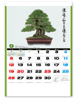 自然愛<盆栽> 10