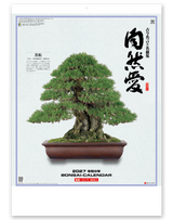 自然愛<盆栽>