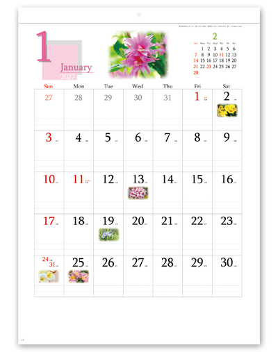 四季の花もよう 2
