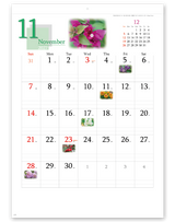 四季の花もよう 4