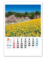 美しき日本 4