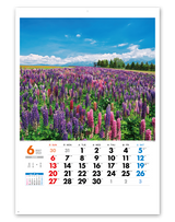美しき日本 7
