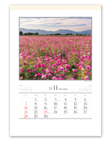 四季十二彩 12