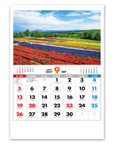日本の景勝 10