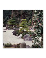 ﾌｨﾙﾑ　名苑 3