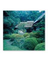 ﾌｨﾙﾑ　名苑 7