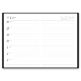 B5ﾀﾞｲｱﾘｰ　文字Ｃ　表紙色・茶 2