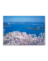 天地自然（森田敏隆写真集） 6