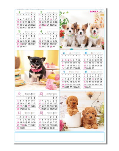年表　こいぬ