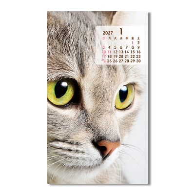 ポケットカレンダー・猫ねこ（メモ付） 2
