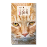 ポケットカレンダー・猫ねこ（メモ付） 9