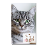 ポケットカレンダー・猫ねこ（メモ付） 10