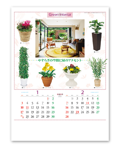 観葉植物と暮し 2