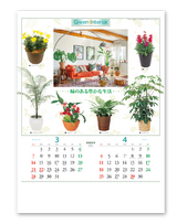 観葉植物と暮し 3
