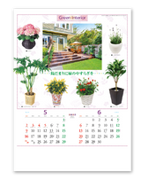 観葉植物と暮し 4