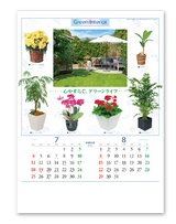 観葉植物と暮し 5