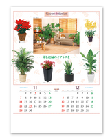観葉植物と暮し 7