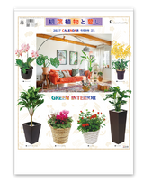 観葉植物と暮し