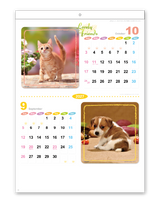 ラブリーフレンズ（犬・猫）ミシン目入 6