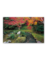 四季の庭 11