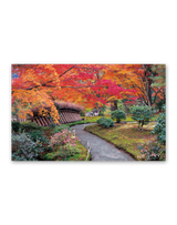 四季の庭 12