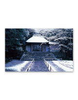 四季の庭 13