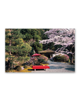 四季の庭 5