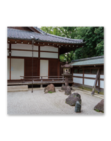 庭の詩情 11