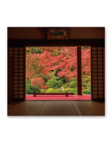 庭の詩情 12