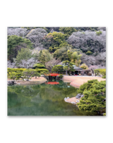 庭の詩情 4