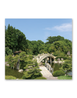 庭の詩情 9