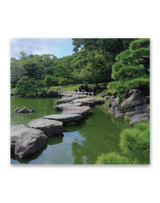 庭の詩情 10