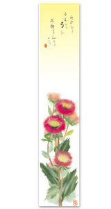 B8　花のこころ 11