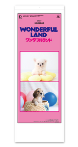 B8　ワンダフルランド